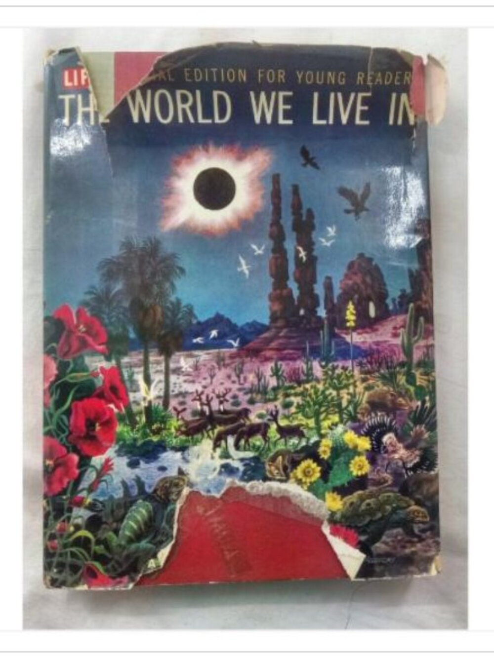 The World We Live In Lincoln Barnett, Jane Werner Watson Hardcover Book Vintage